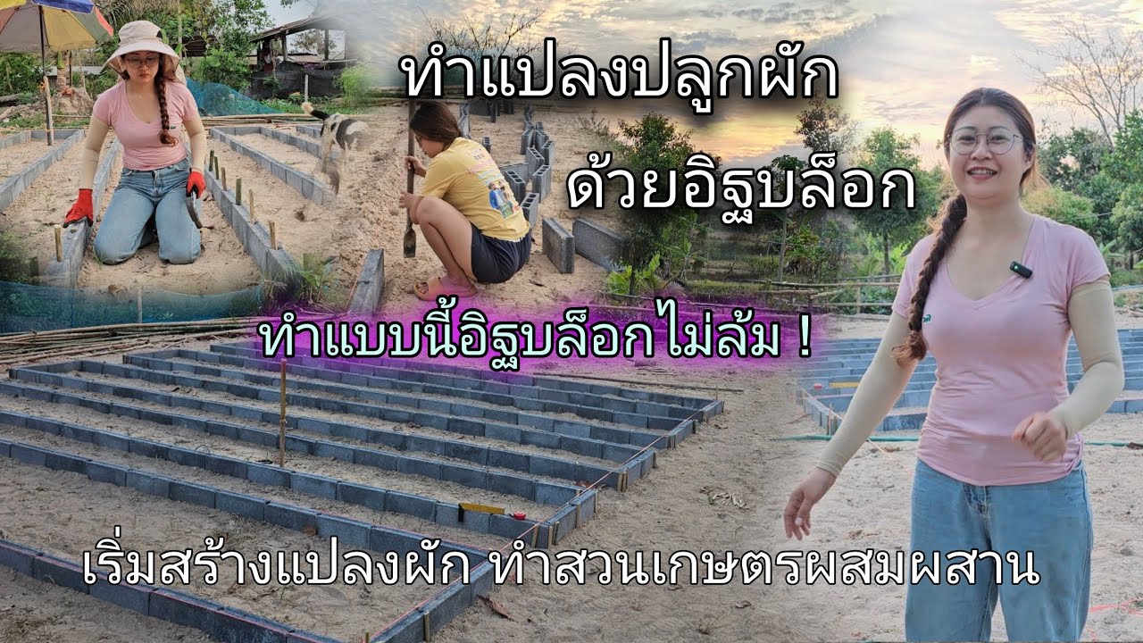 EP.22 ทำแปลงปลูกผักด้วยอิฐบล็อก แบบนี้อิฐไม่ล้ม เริ่มเป็นสวนเกษตรผสมผสานแล้ว