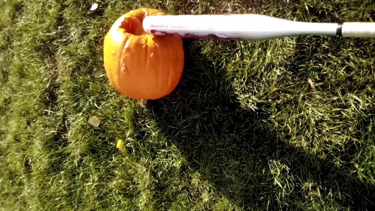 pumpkin dies (real)