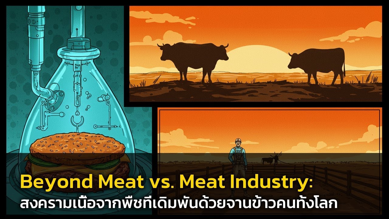 ✨ Beyond Meat vs. Meat Industry: สงครามเนื้อจากพืชที่เดิมพันด้วยจานข้าวคนทั้งโลก