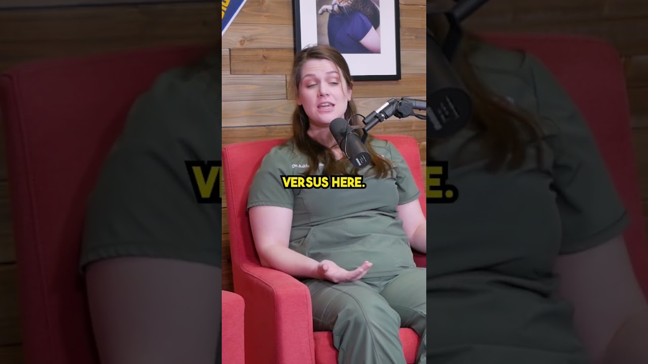 Veterinarian Salaries Can Be CRAZY! #shorts