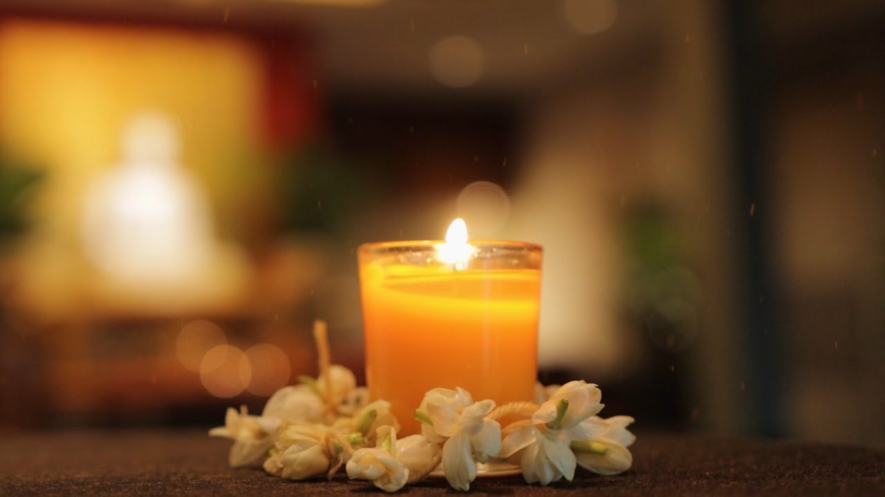 The Light of Dhamma