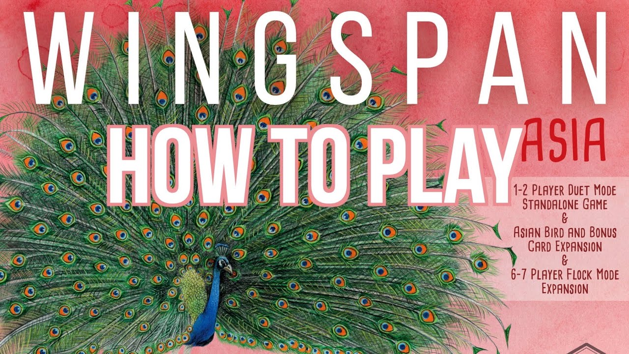 How to Play Duet Mode for Wingspan (Asia Expansion)
