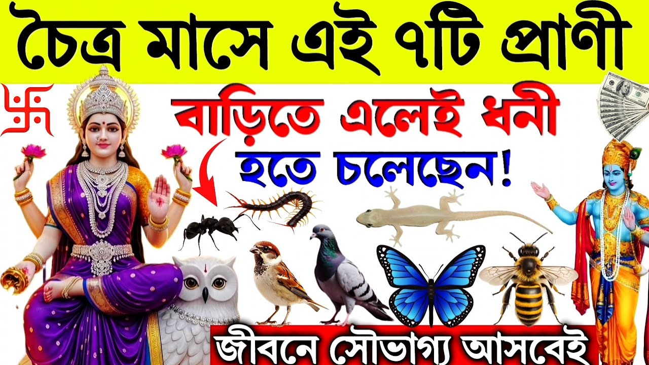 চৈত্র মাসে এই ৭টি প্রাণী বাড়িতে এলে ধনী হতে চলেছেন || Chaitra Maas Mahatva
