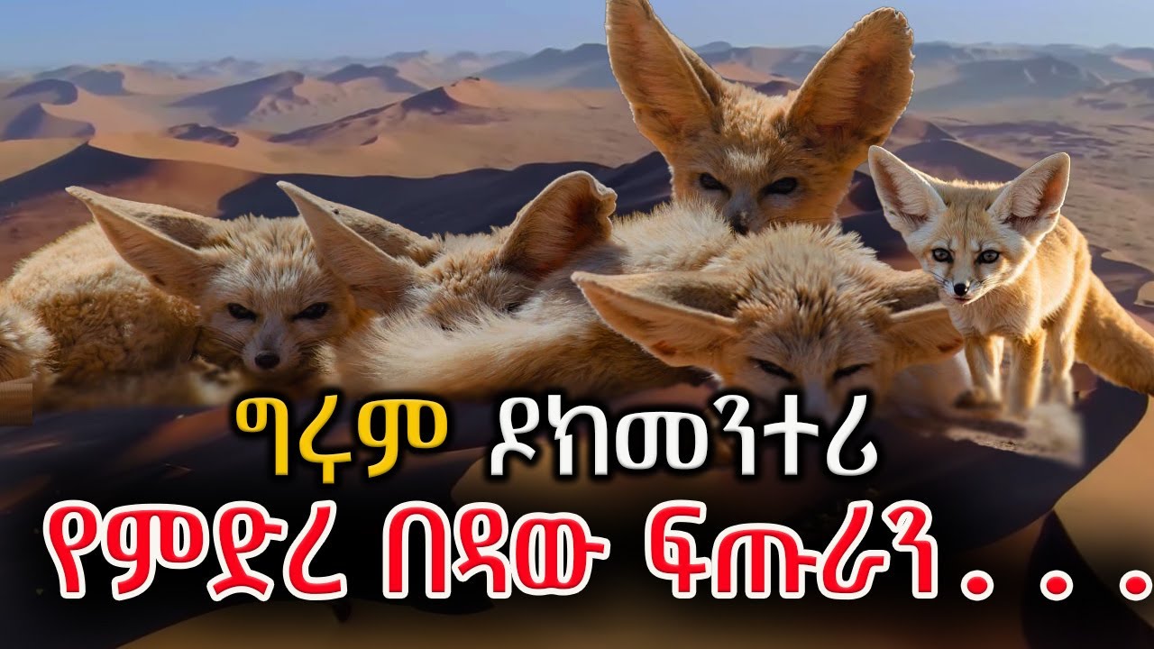 ግሩም ዶክመንተሪ - በረሀ እና ፍጡራኖቹ #GirumDocumetary #GirumTebeje @girumtereka
