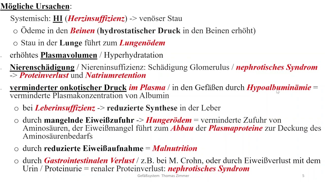 Gef&auml;&szlig;e 3: &Ouml;deme I (au&szlig;er Lymph&ouml;deme)