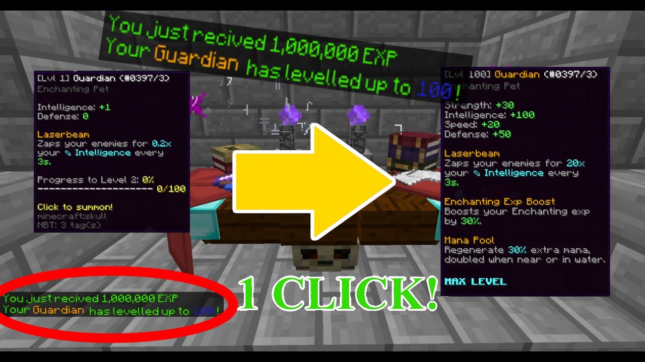 THE *BEST* WAYS TO LEVEL UP PETS 2022 | Hypixel Skyblock | Minecraft