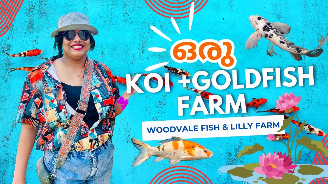 അലങ്കാര KOI & GOLDFISH മത്സ്യങ്ങളുടെ കലവറ 🐟 | 100+ Varieties of KOI & GOLDFISH | Malayalam Vlog