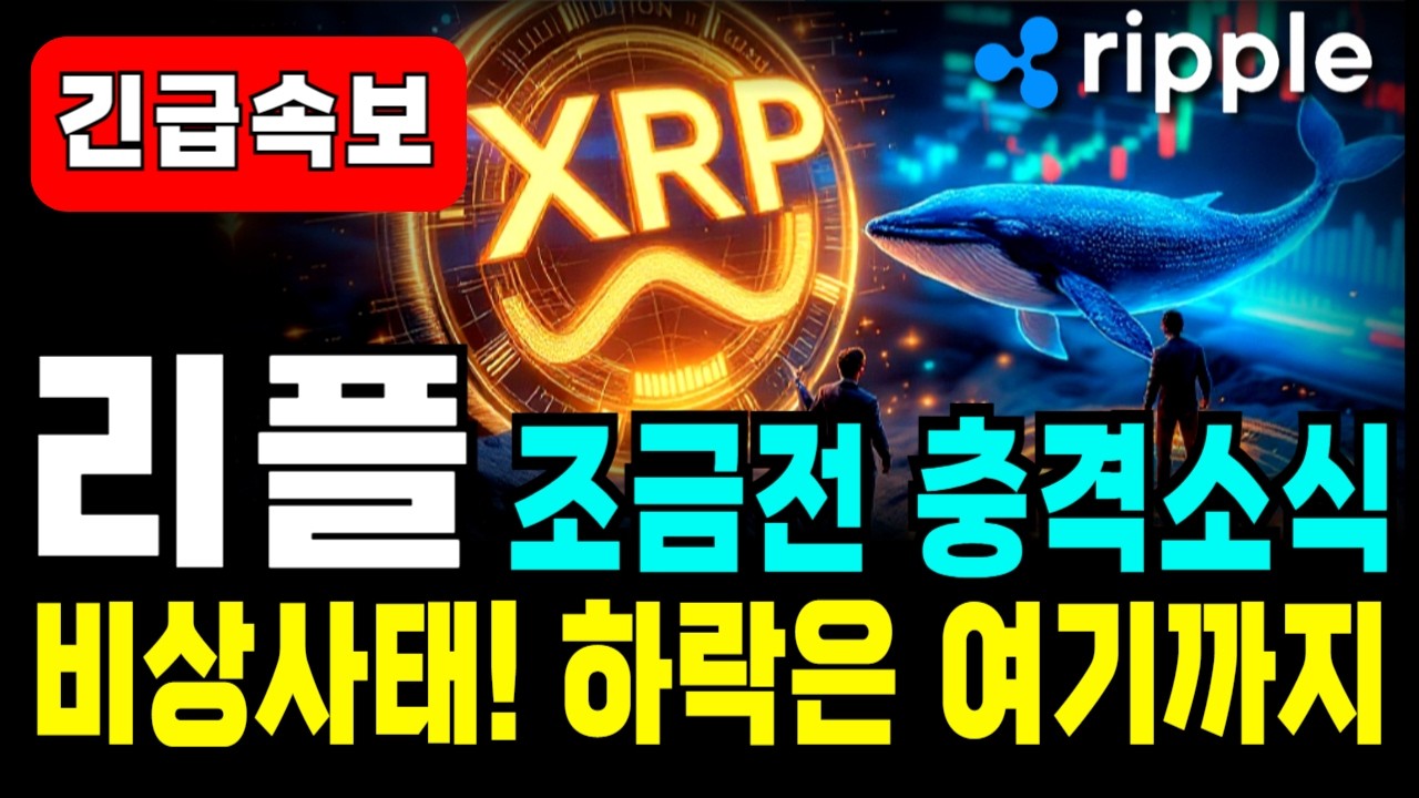 리플 코인 전망 충격변수! 하락은 여기까지! 협상 불발에 고래들 움직이기 시작했다. 변동성에 대한 대응전략과 향후 움직임 분석 #리플전망 #리플분석 #리플 #리플코인