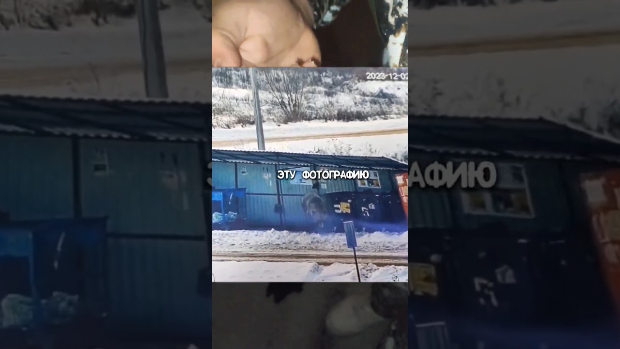 МЫ ВСТРЕТИЛИ МЕДВЕДЯ🐻 В ПОЛЕ😰 ‼️ДО КОНЦА‼️ #fail #vlog #scary