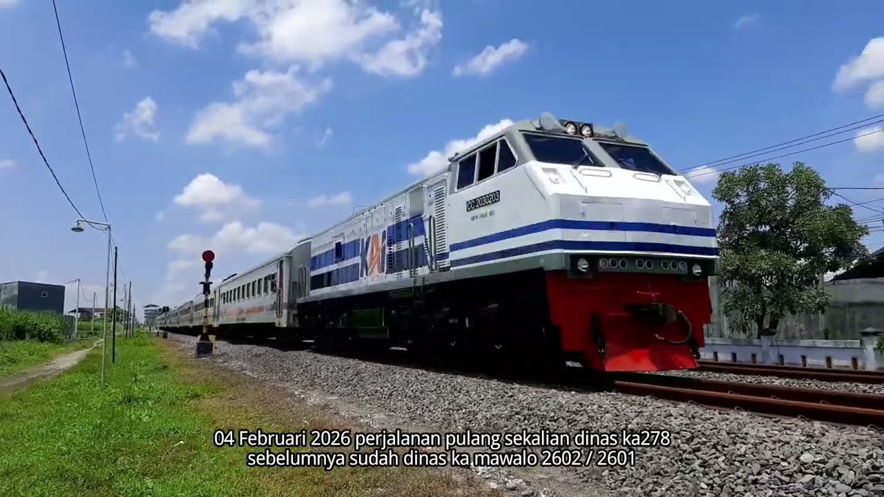 WnB🔸️CC203 02 03 SDT MOMEN Pergi / Pulang P24 BYYK