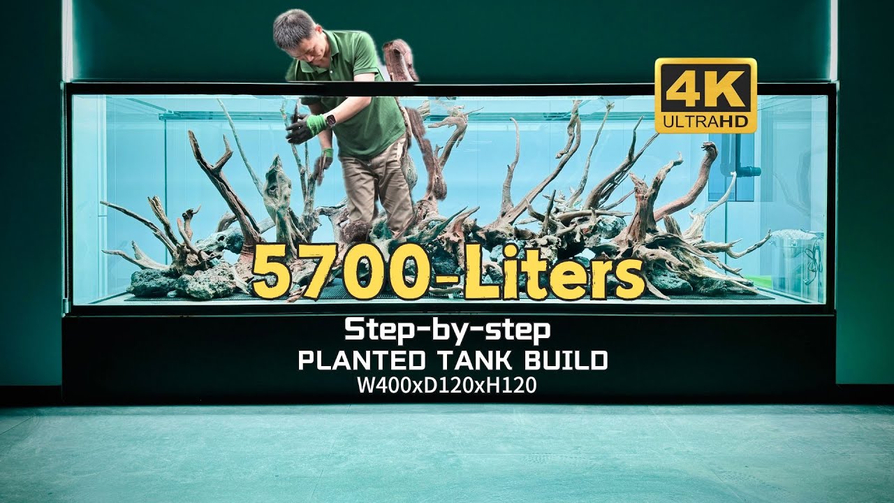 5700-Liters｜PLANTED TANK BUILD｜Step-by-step set up｜4K Video