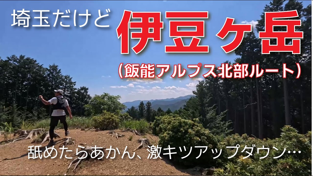 埼玉だけど伊豆ヶ岳～舐めたらアカン飯能アルプス北部パート
