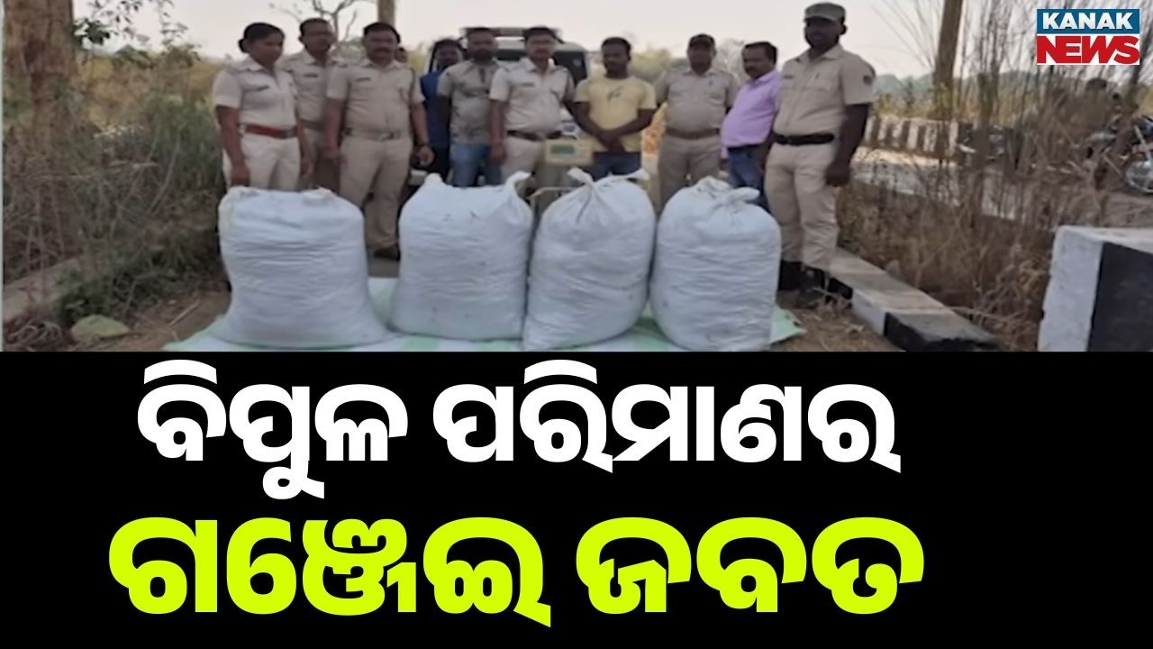 Massive Ganja Seizure in Ganjam | 112 Kg Cannabis Recovered in Bhanjanagar & Tarasingh | 2 Arrested