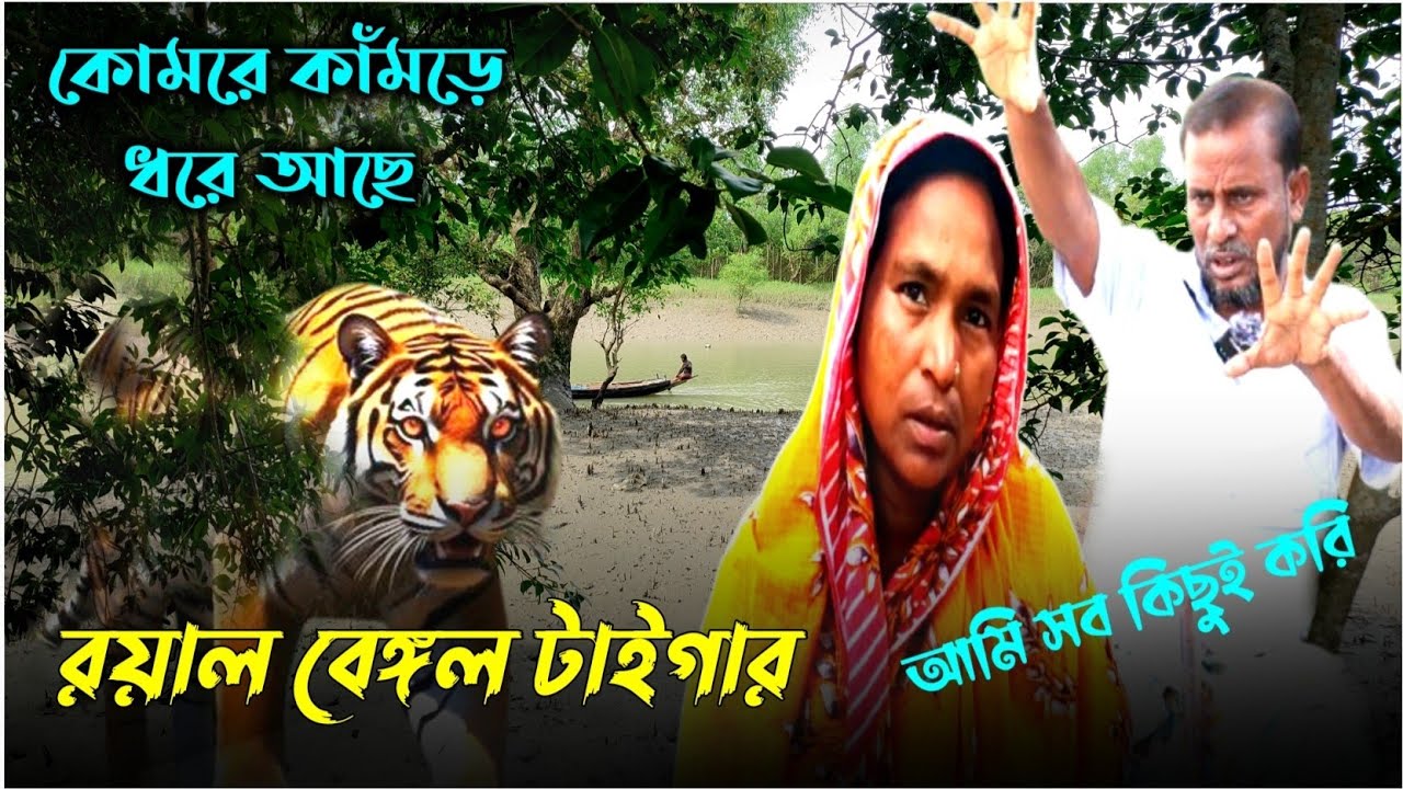 বাবা বলছে, ছাড় ছাড় আমার ছেলেকে | মেরুদণ্ড হাড় ভেঙে গেছে | Tiger Attack