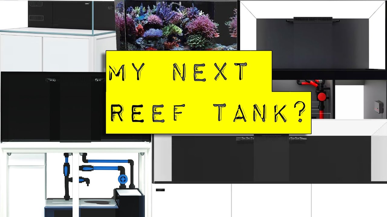 Which Reef Tank should I choose?