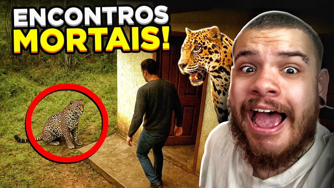 OS ENCONTROS MAIS PERIGOSOS DA ROÇA!