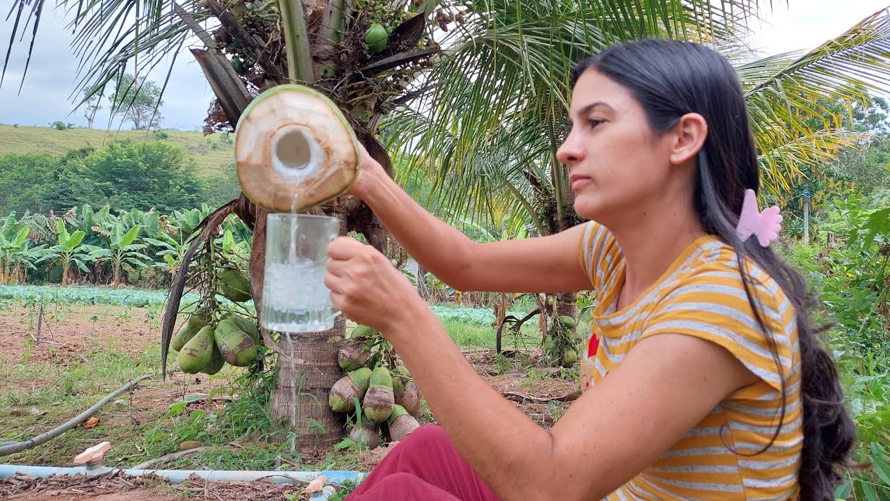 Brazilian Cleide harvests coconuts for traditional sweets - ब्राजीलियाई नारियल पानी पॉप्सिकल