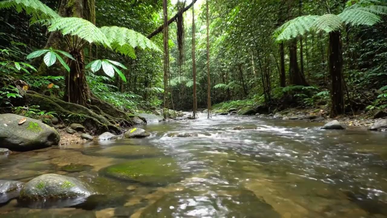 Soothing Forest River Sounds | Flowing Water in Deep Jungle for Rest & Relaxation