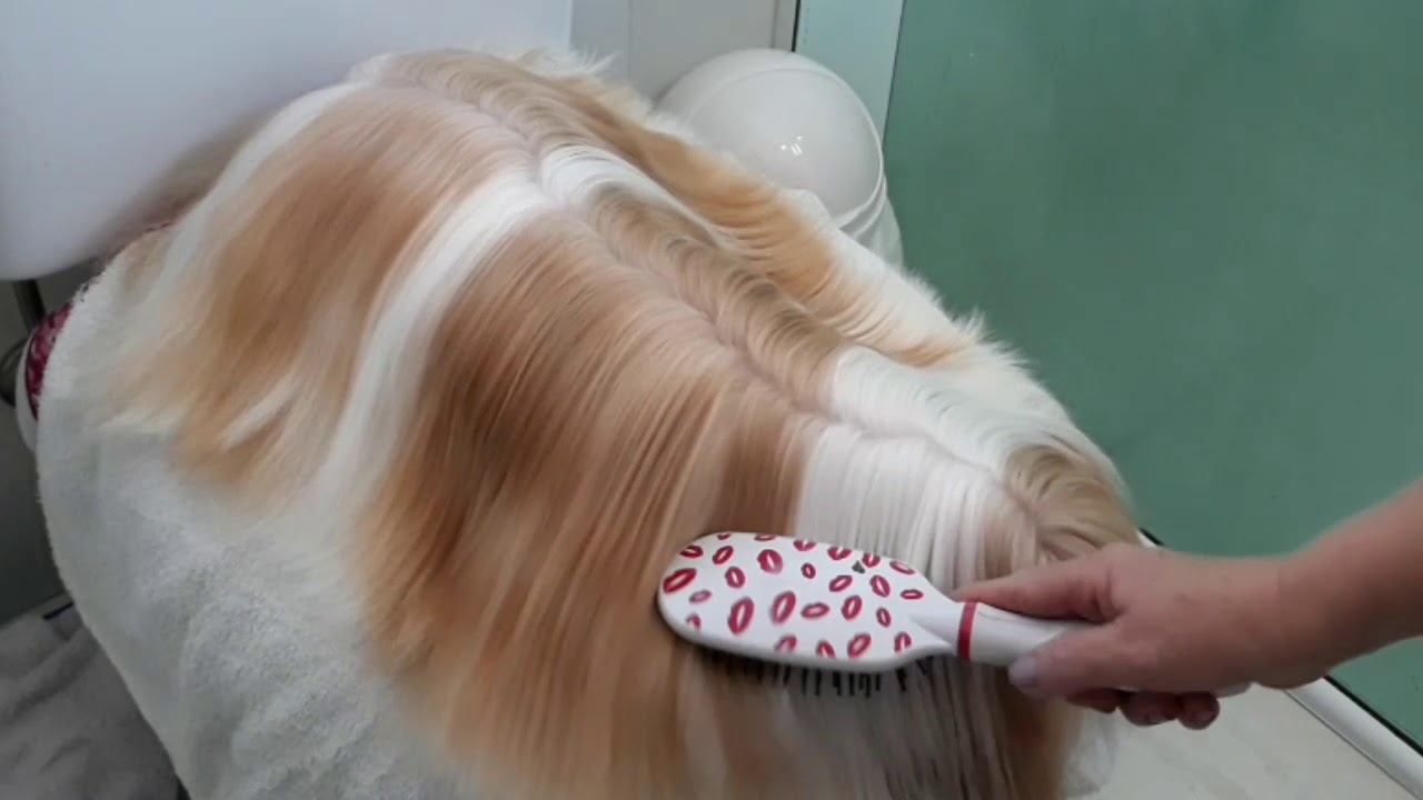 Hidratação com óleo de COCO em pets!  PELOS LINDOS  MACIOS  SEDOSOS E SEM NÓS.