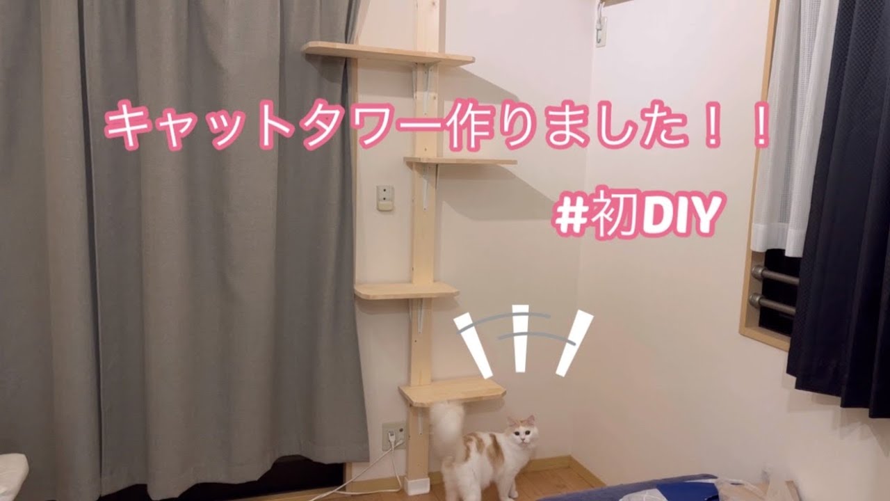 いきなり有給を貰った飼い主が愛猫の為にするべき事②（DIYど素人飼い主が、愛猫さんの為にキャットタワーを作ってました）