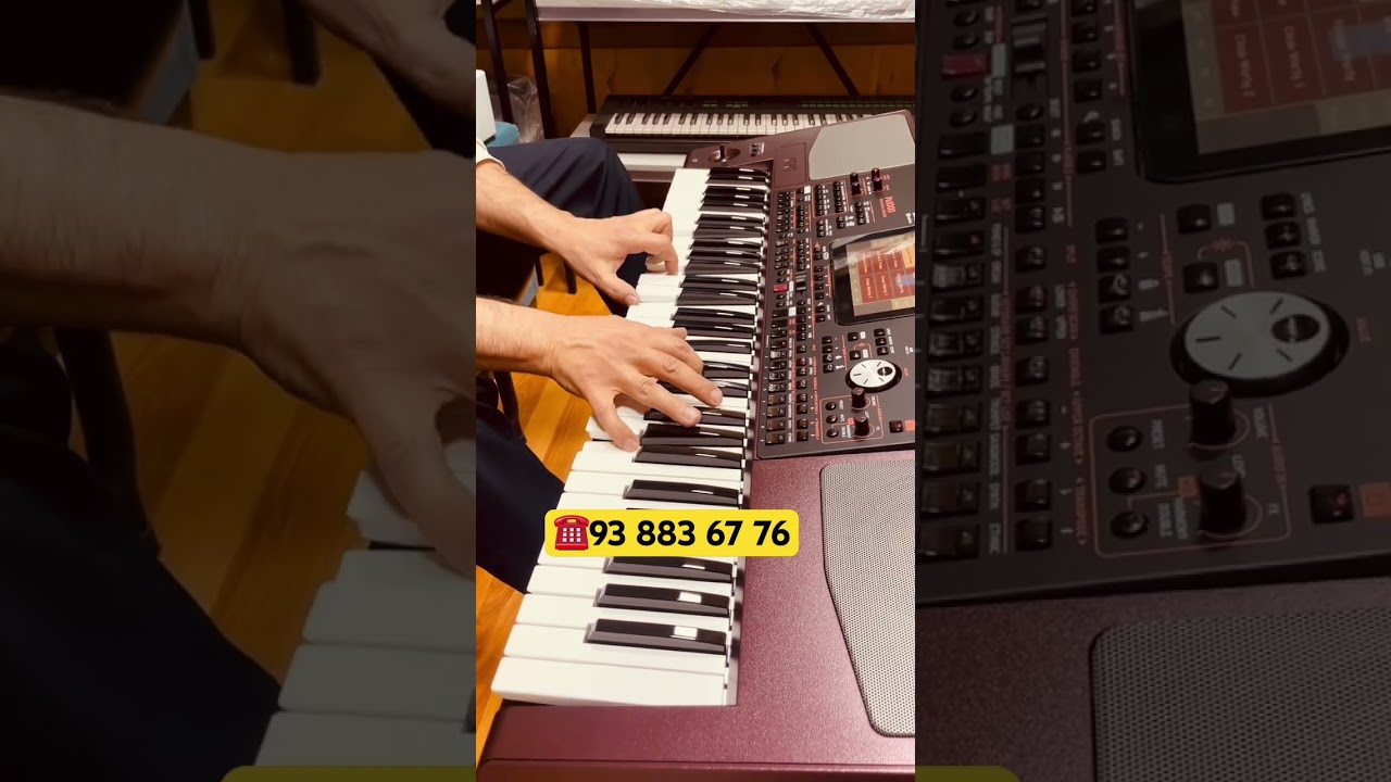 KORG PA 1000 живая музыка