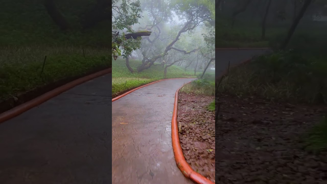 A Slow Ride Through Monsoon Silence | Nature Therapy at Le Méridien Mahabaleshwar