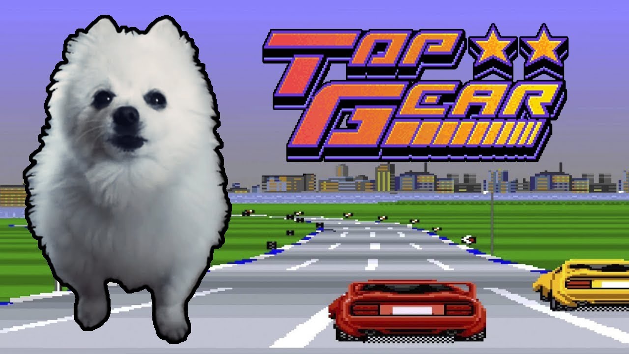 TOP GEAR em CACHORRÊS