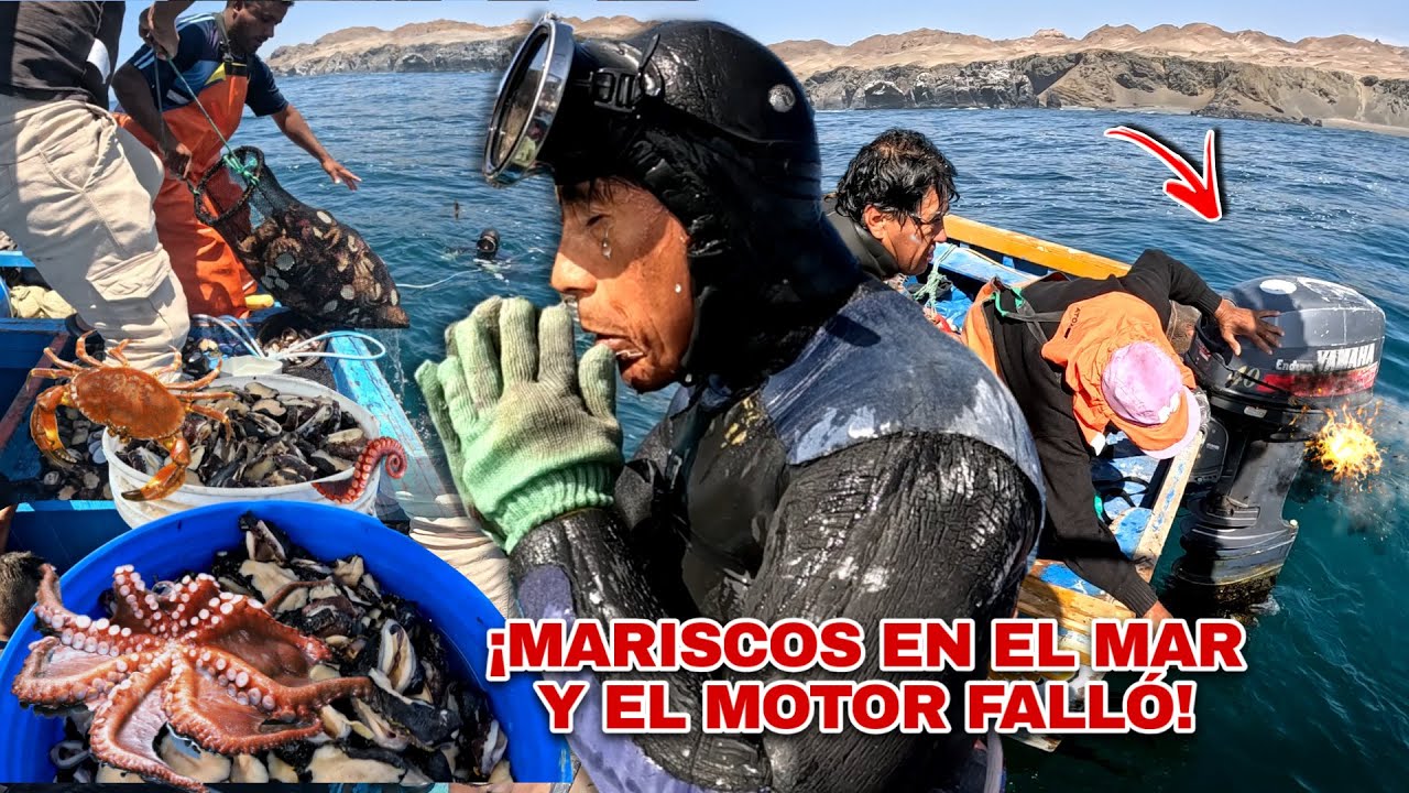 ¡Extracción mortal! Fuimos por Mariscos a aguas profundas y una falla del motor casi nos hunde