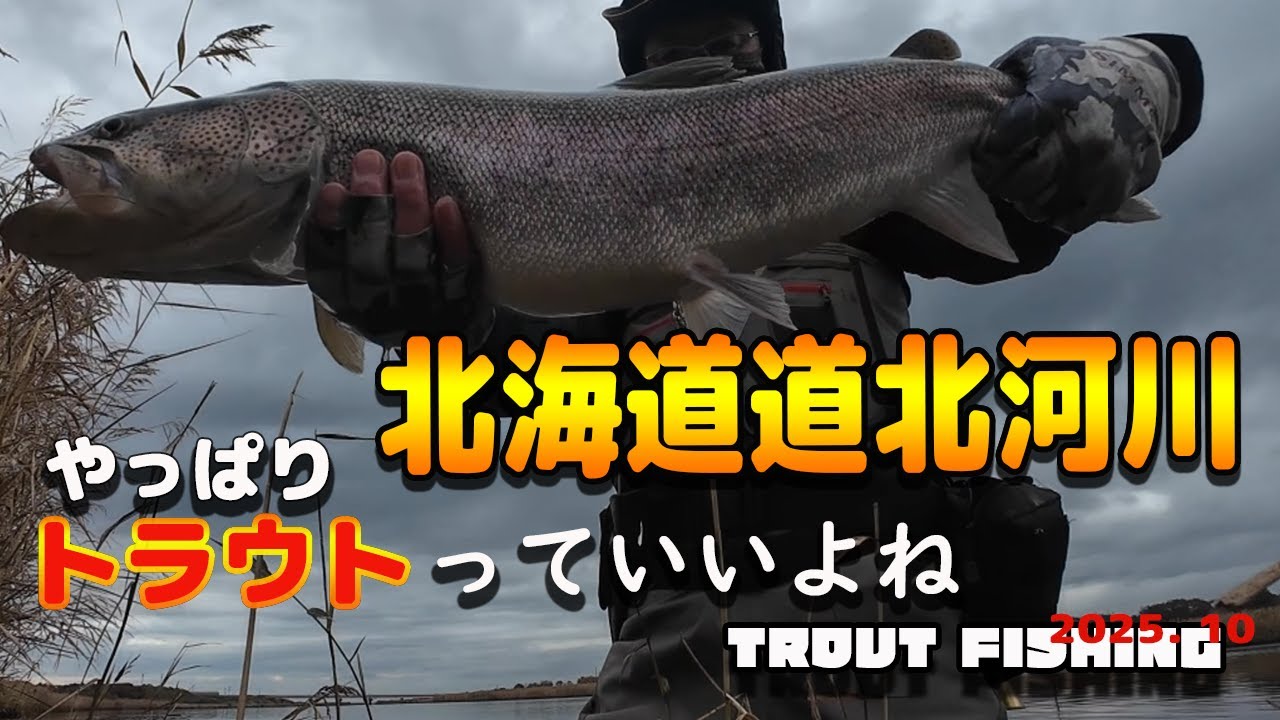北海道道北河川　2025秋イトウをイトウを狙いに行ってきました。Fishing in Japan for the Elusive Ito – A Rare Native Monster ＃イトウ＃釣り