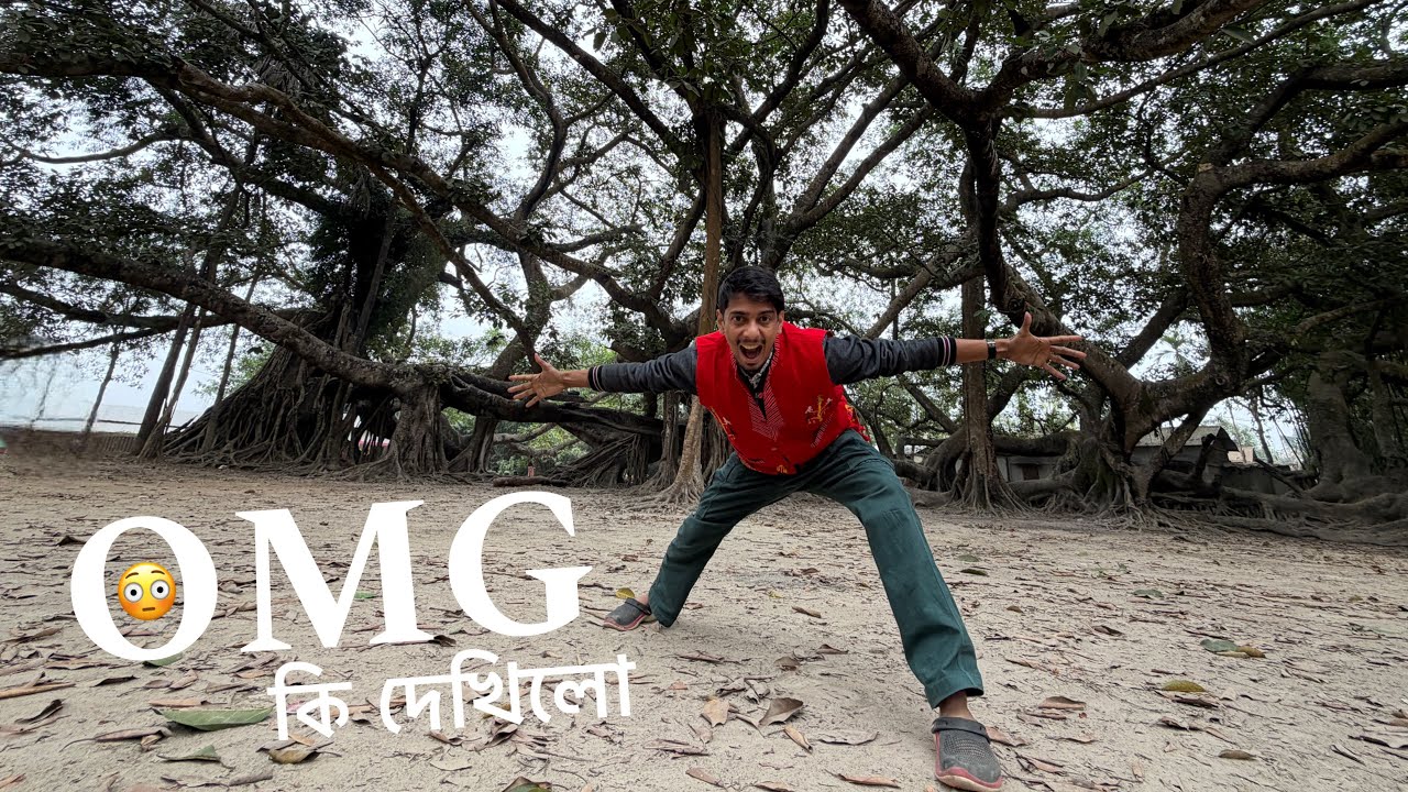 I saw a biggest tree in Assam - কি দেখিলো এইটো