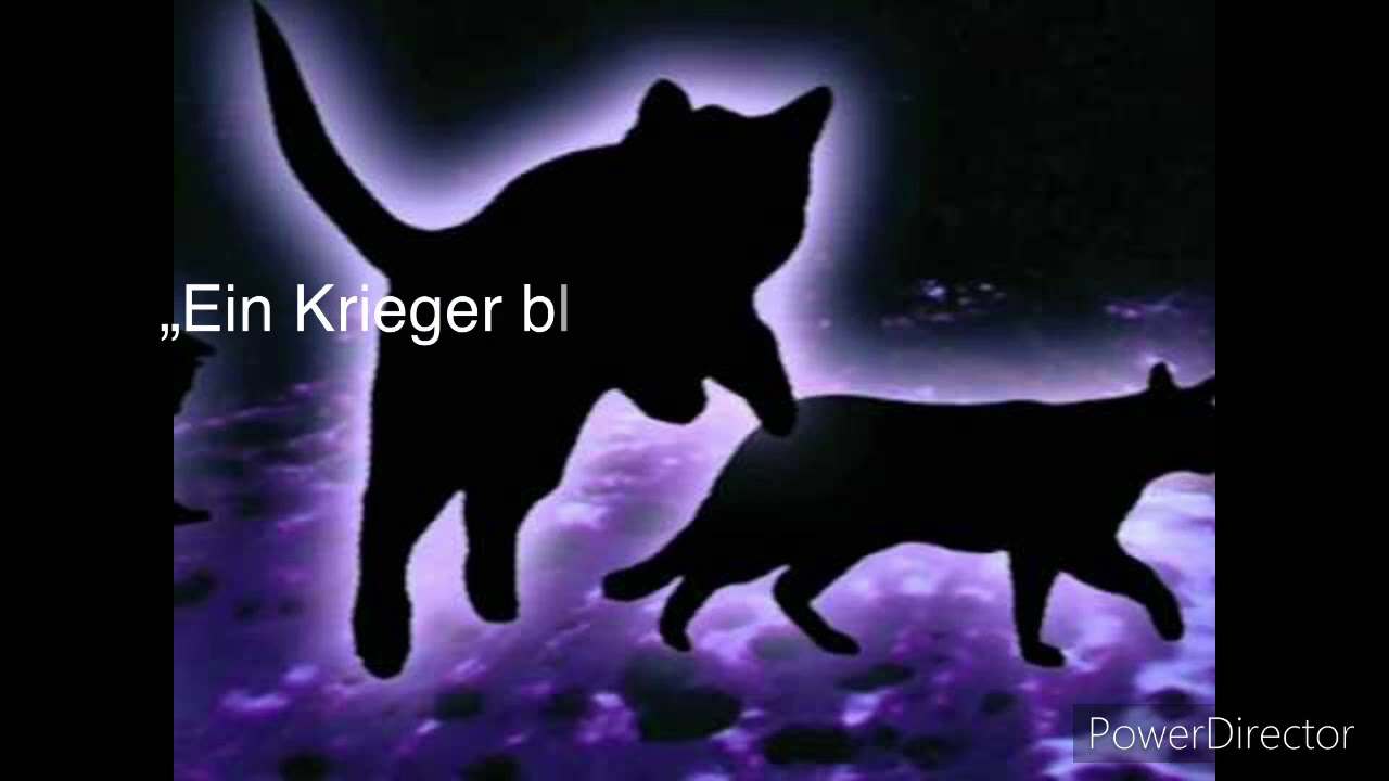 schöne,traurige,..... Zitate aus Waca