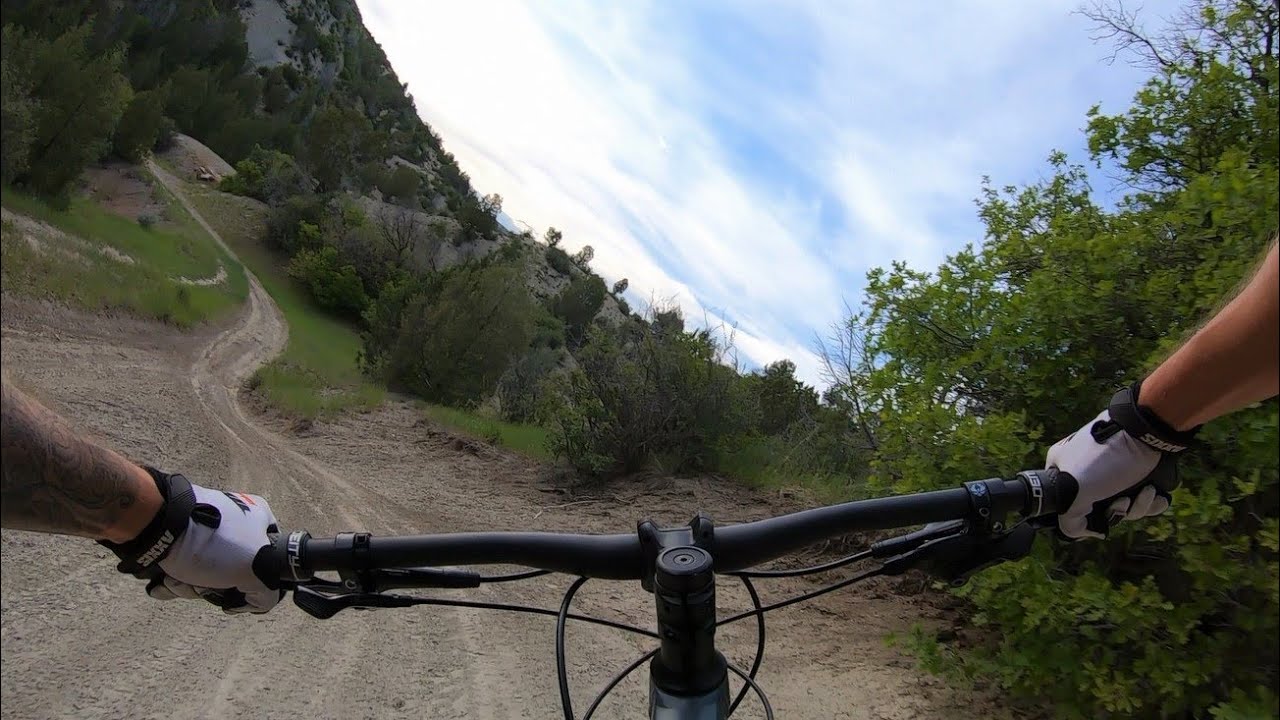 Monk's Hollow Chunky Double Track Trail on the Trek Roscoe 8