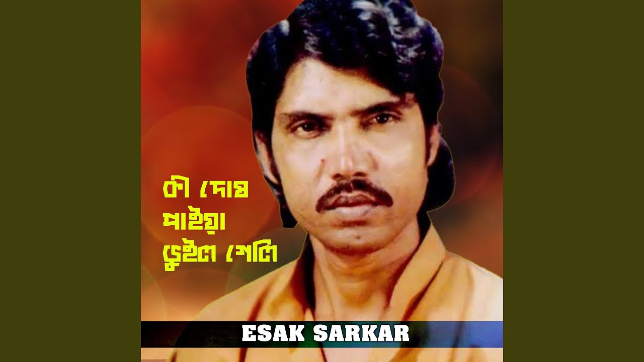 কী দোষ পাইয়া ভুইলা গেলি