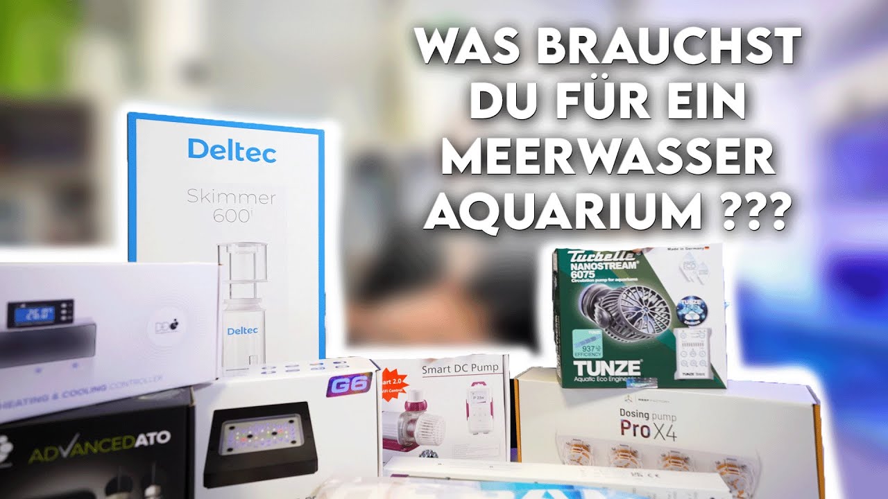 Das brauchst du (nicht) für dein Meerwasser Aquarium 200 - 400 Liter
