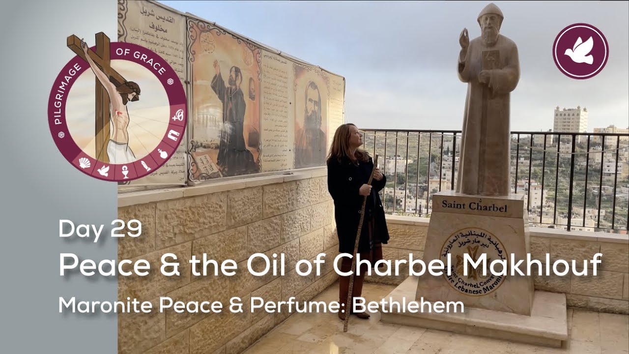 Day 29: Peace & the Oil of Charbel Makhlouf | Maronite Peace & Perfume | Pilgrimage of Grace
