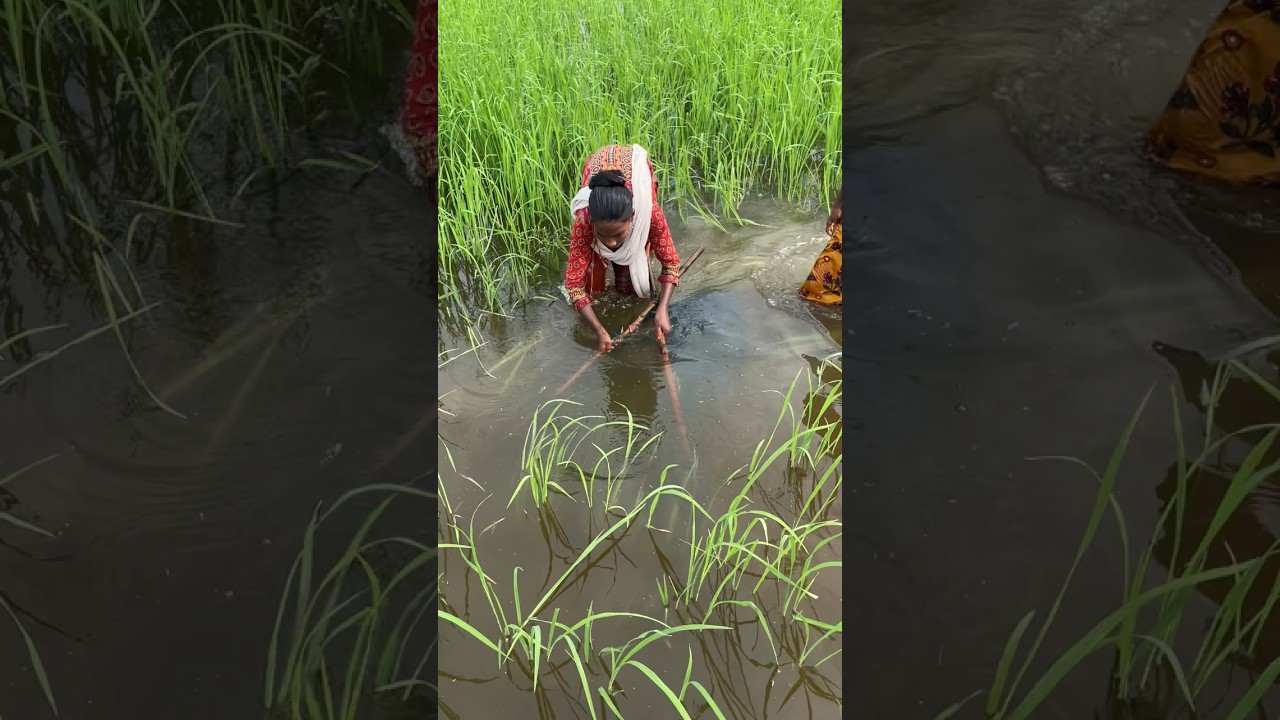 Asian village fishing #shorts