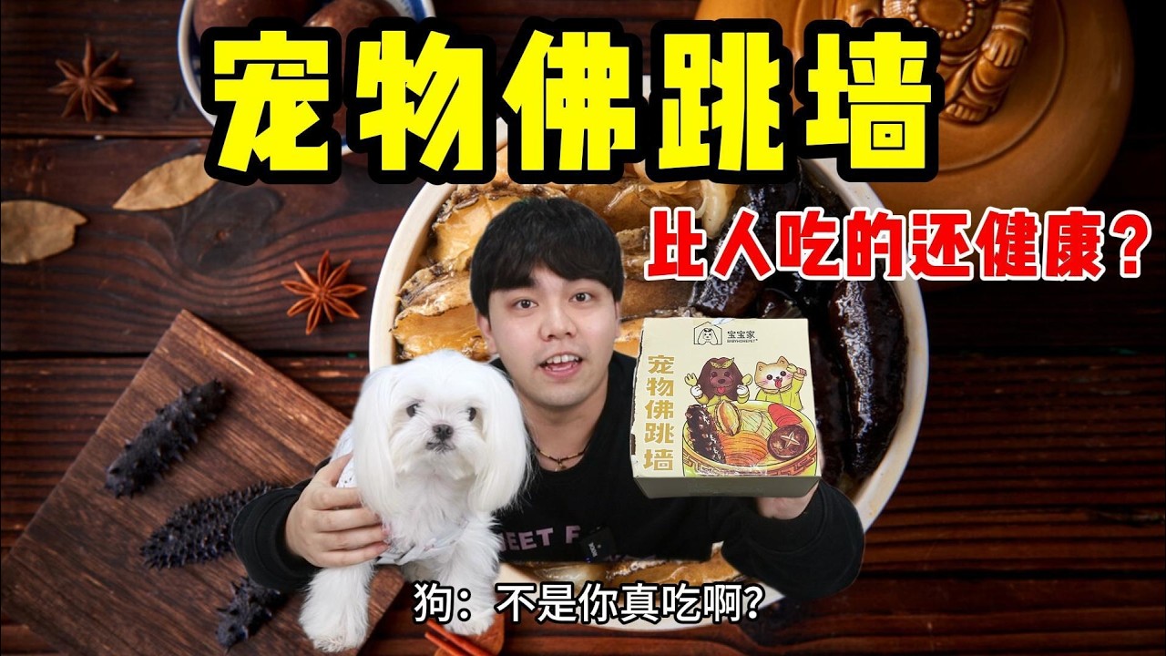 68元一份的宠物佛跳墙！里面有鲍鱼海参？这合理吗？