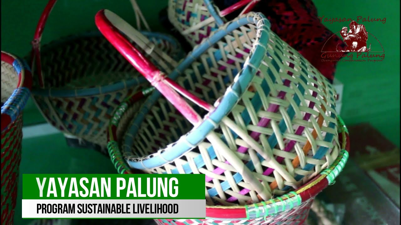 Ini Aktivitas Pengrajin HHBK Binaan Yayasan Palung di Kayong Utara