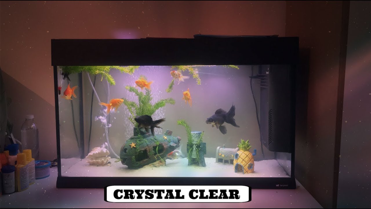 HOW TO GET CRYSTAL CLEAR WATER IN FISH TANK (FERPLAST DUBAI 80 125L TANK)