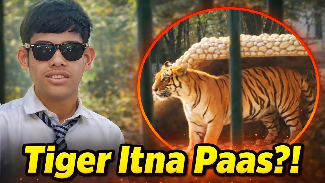 School Ke Sath Zoo Trip 🐯