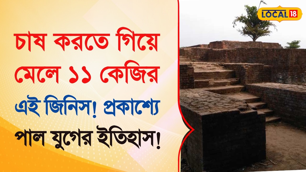 Malda News | চাষ করতে গিয়ে মেলে ১১ কেজির এই জিনিস! প্রকাশ্যে পাল যুগের ইতিহাস! Bangla News  #local18