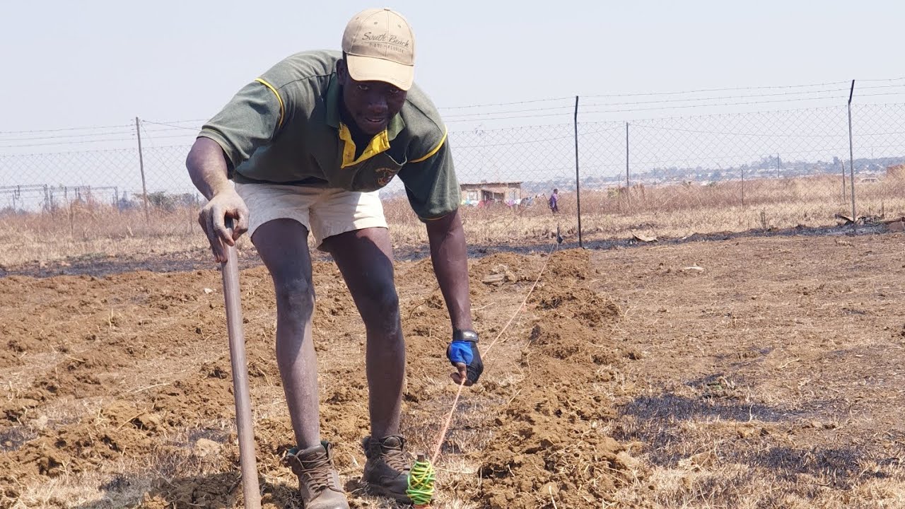 CashFlow strategy for small farms!