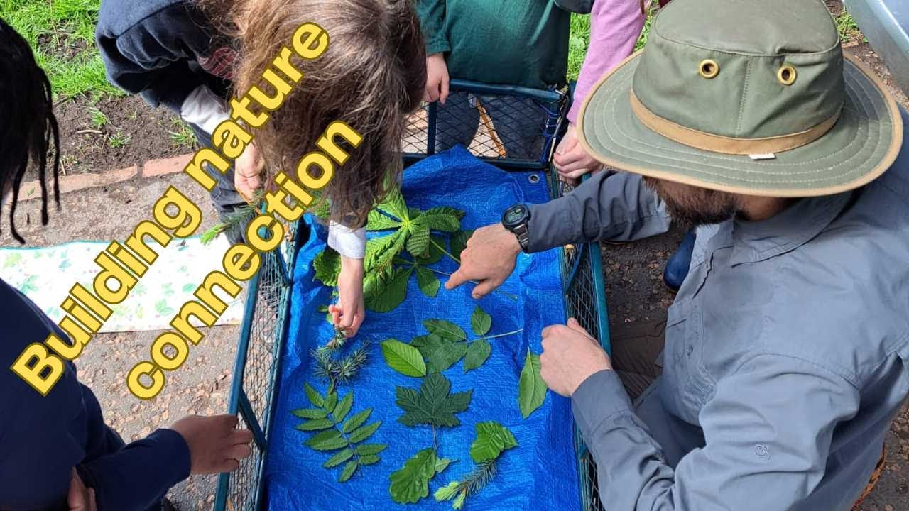 Learn your trees -  3 Forest School activities for teaching tree identification