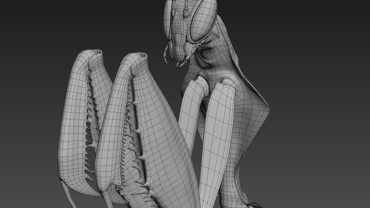 Mantis Modeling Timelapse