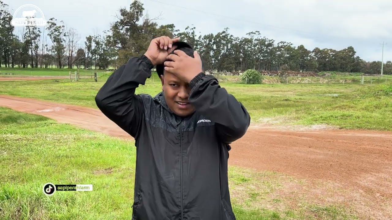 20.000.000.000 Rupiah Untuk Belanja Sapi Perah Australia 🐄
