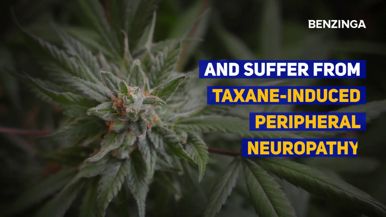 Tilray Backs First Human Study On Medical Marijuana Used For Breast Cancer Drug Side Effects