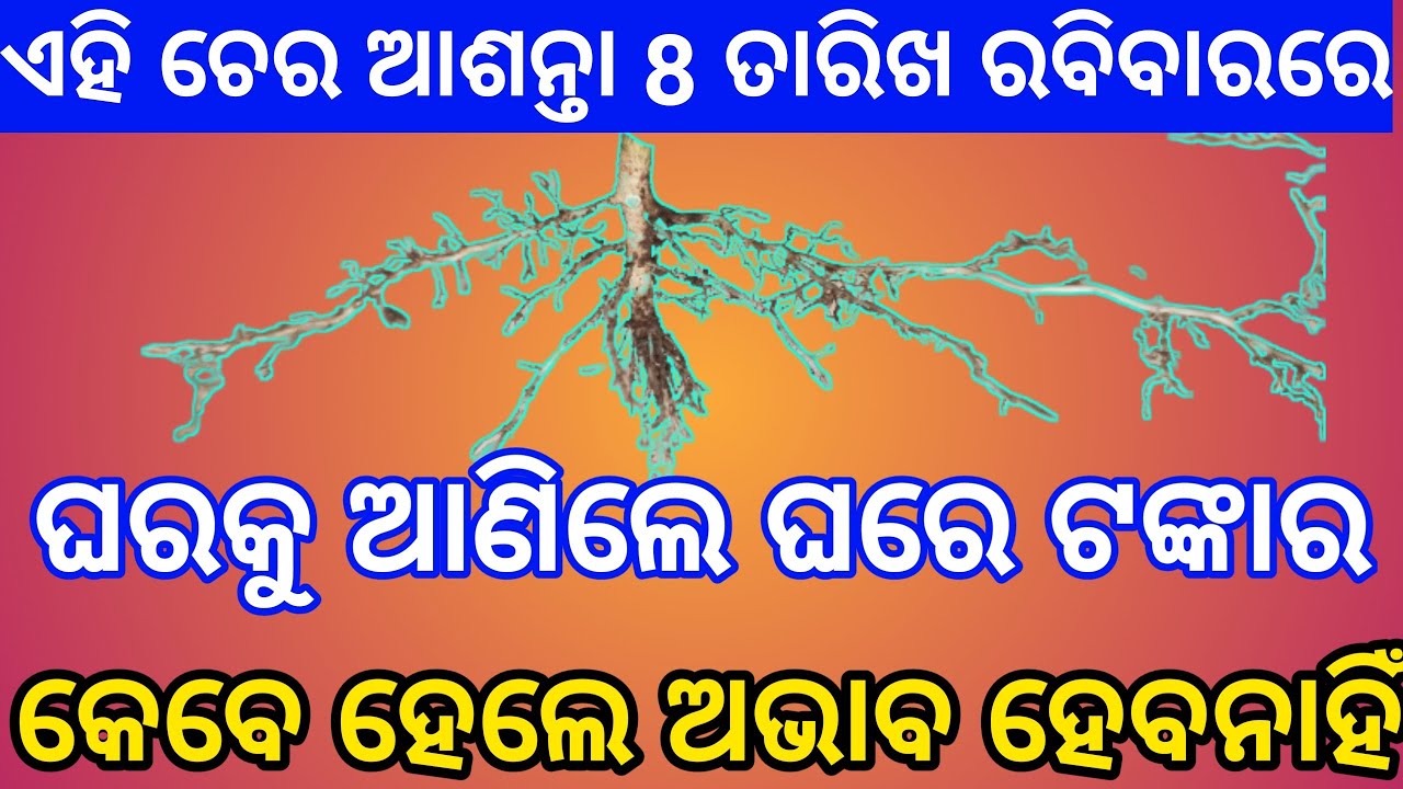 Punarnava re dhana prapti | dhan vridhi ke totke | tecbigyan Odia | tec bigyan channel  #tecbigyan
