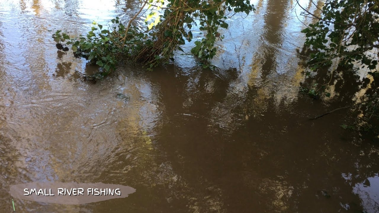 🎣 Рыбалка в пятницу тринадцатого: осталось два дня речного сезона