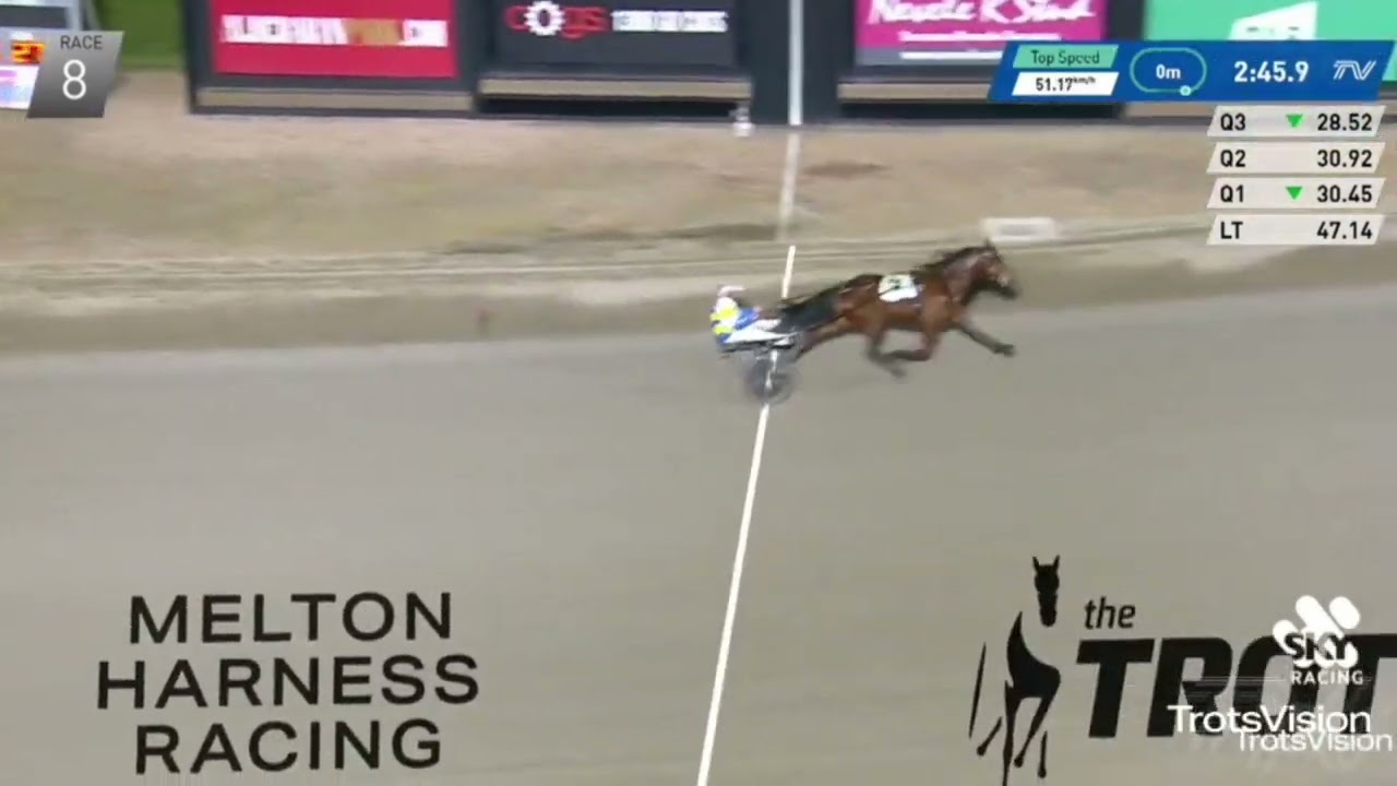 TSR Weekly Wrap | 12 July 2023