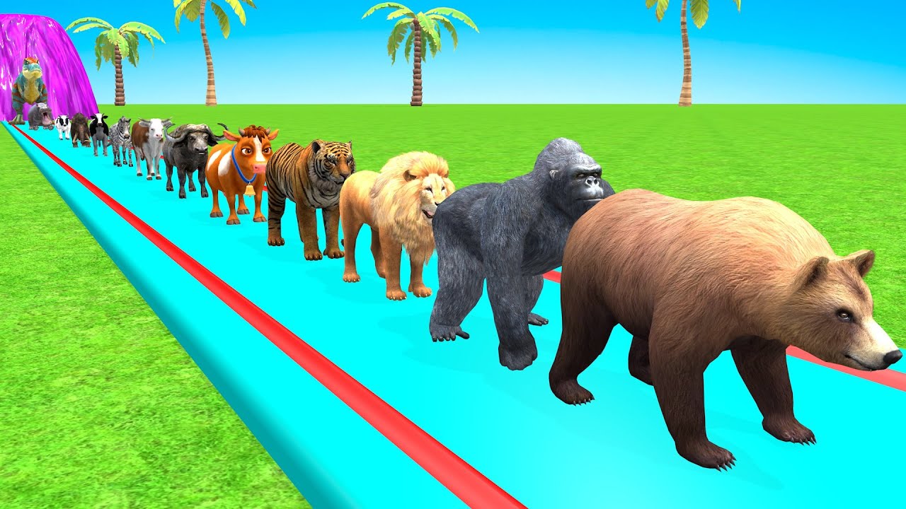 Long Slide Game With Cow Elephant Gorilla Hippopotamus Tiger 3d Animal Game Funny 3d Animals